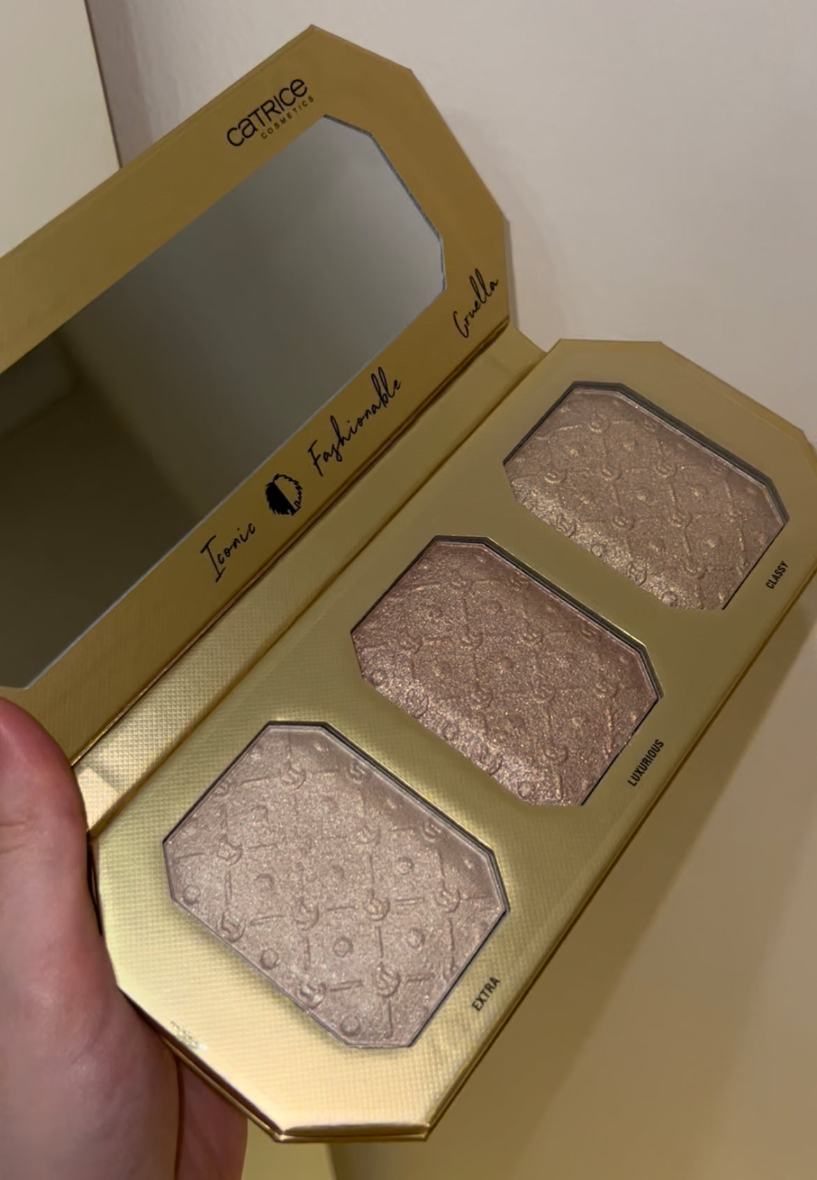 Cruella highlighter Palette