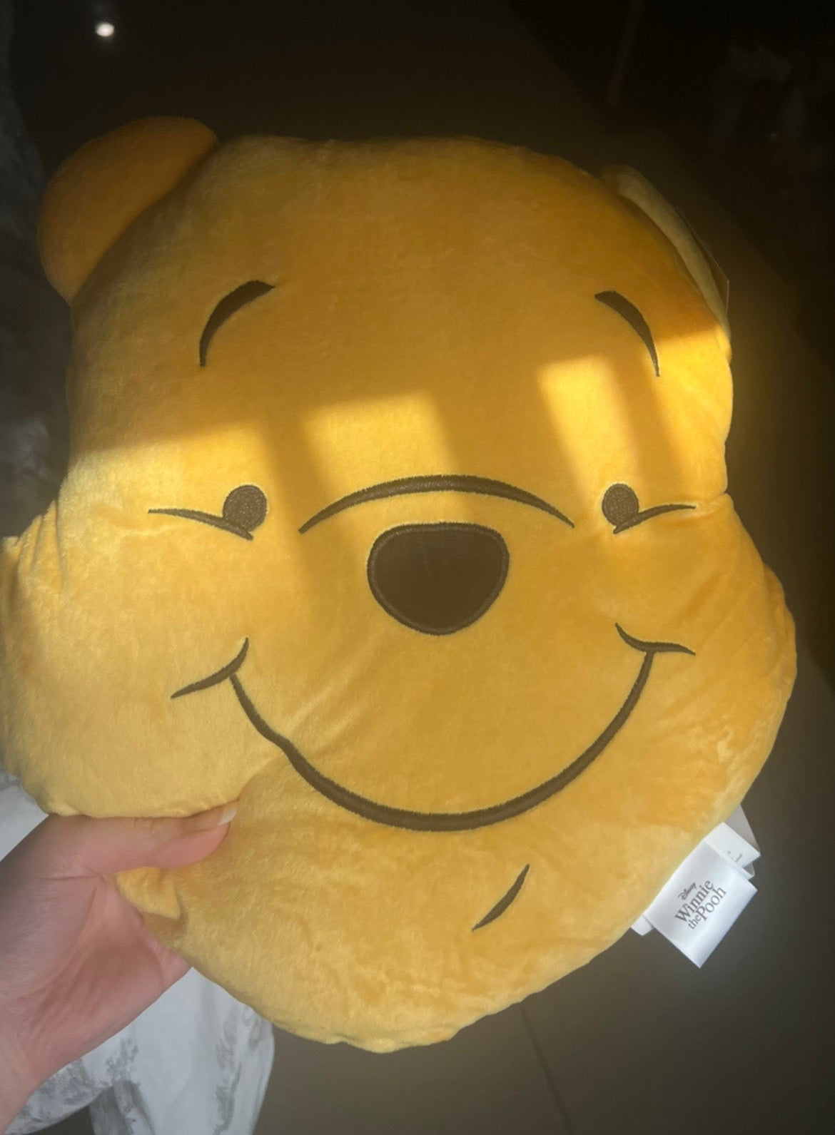 Winnie the Pooh Cushion