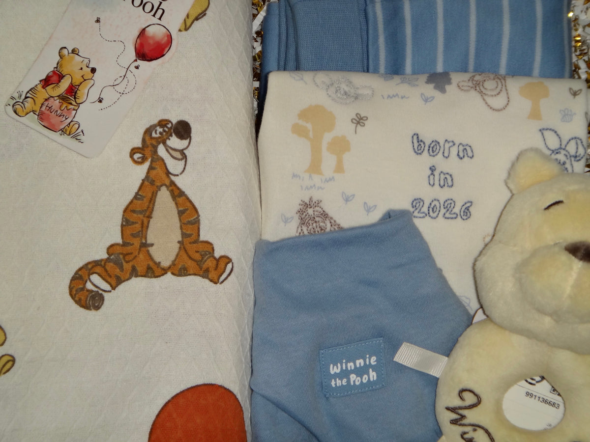 Winnie the Pooh Baby Gift Box