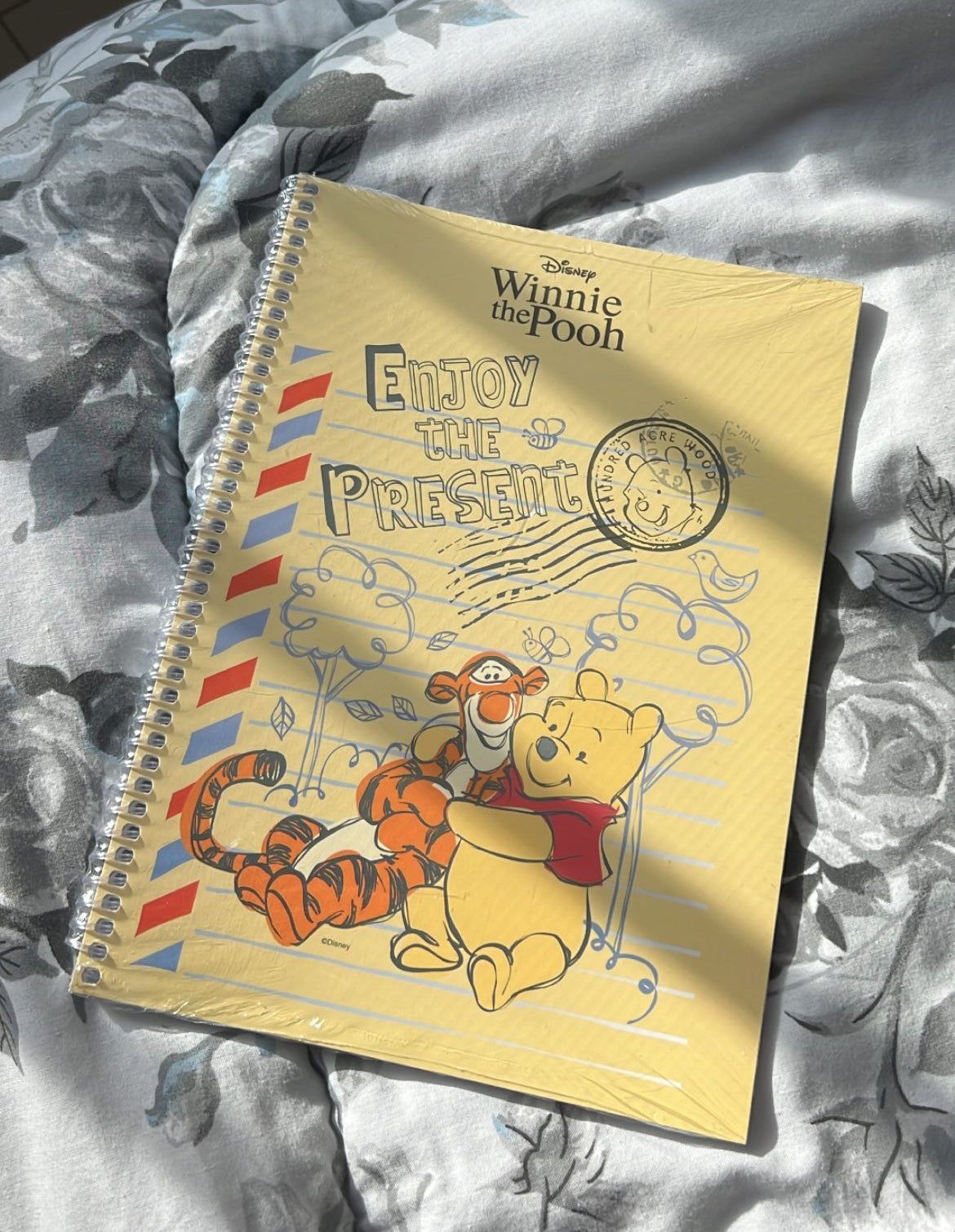 Winnie the Pooh B6 Notebook