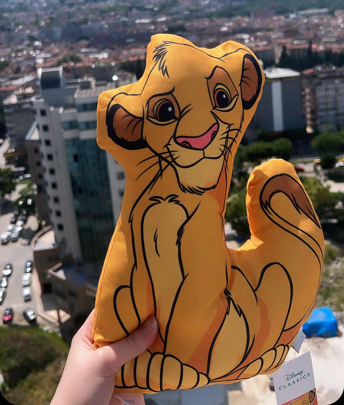 The Lion King, Simba Cushion