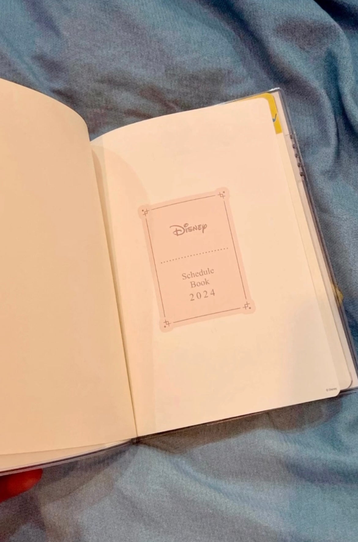 Disney100 Anniversery Planner 2024