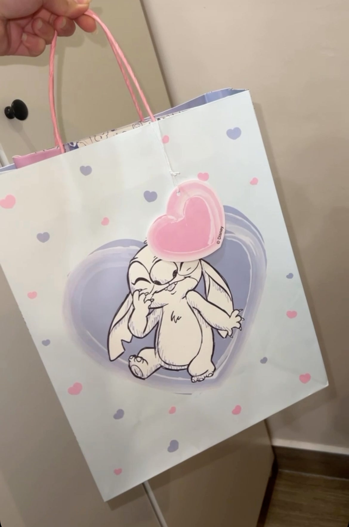 Stitch Gift Bag