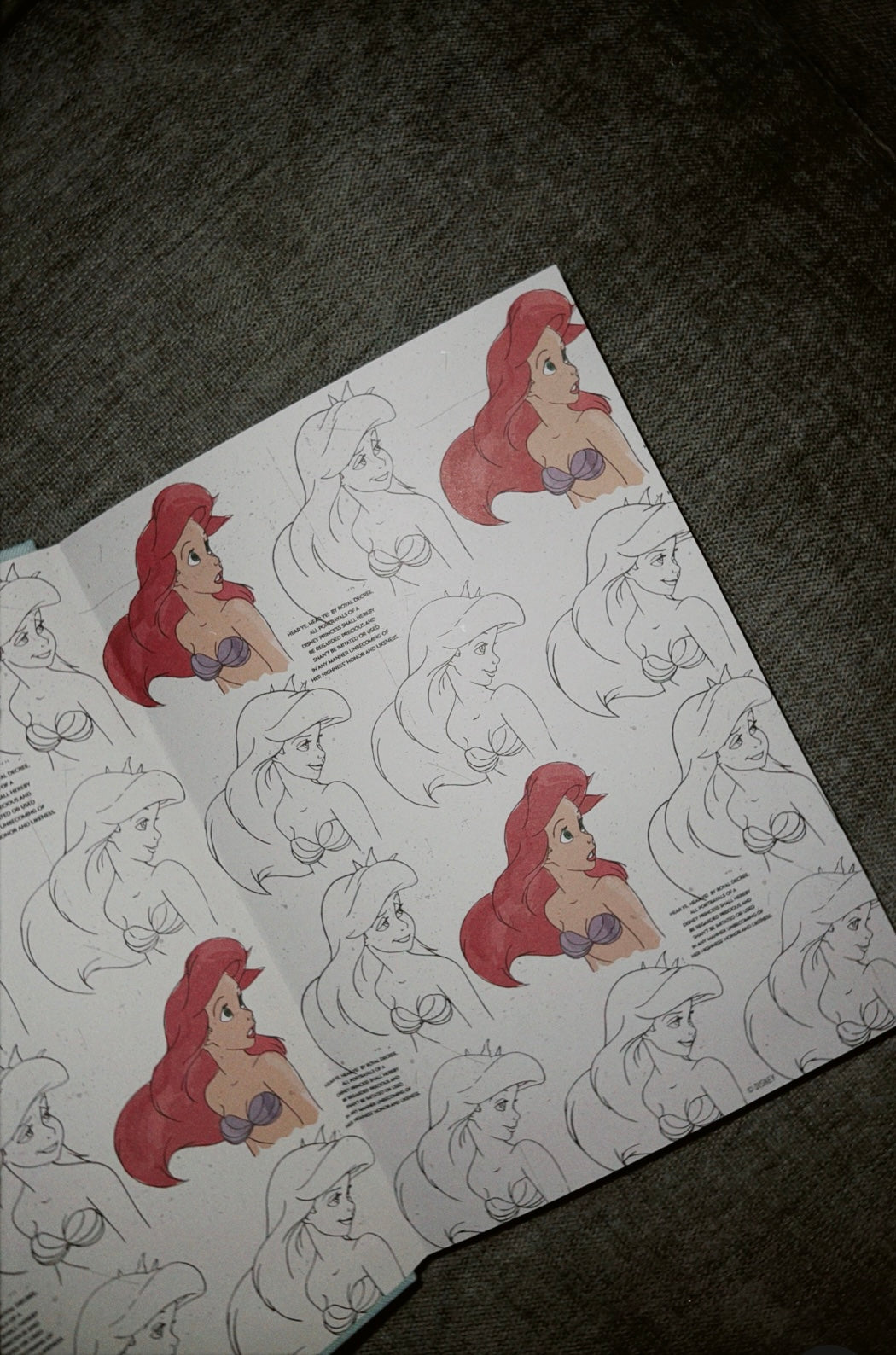 Ariel, The Little Mermaid Journal