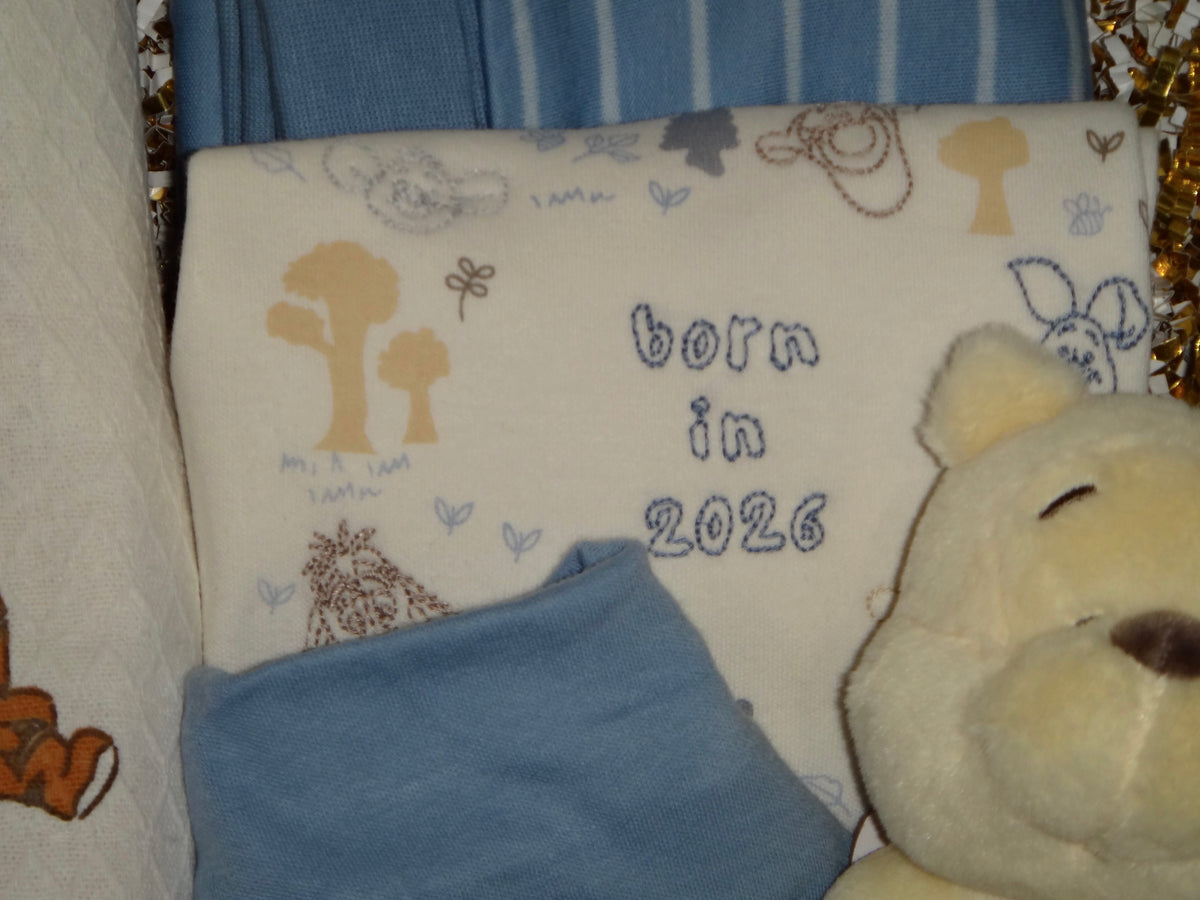 Winnie the Pooh Baby Gift Box