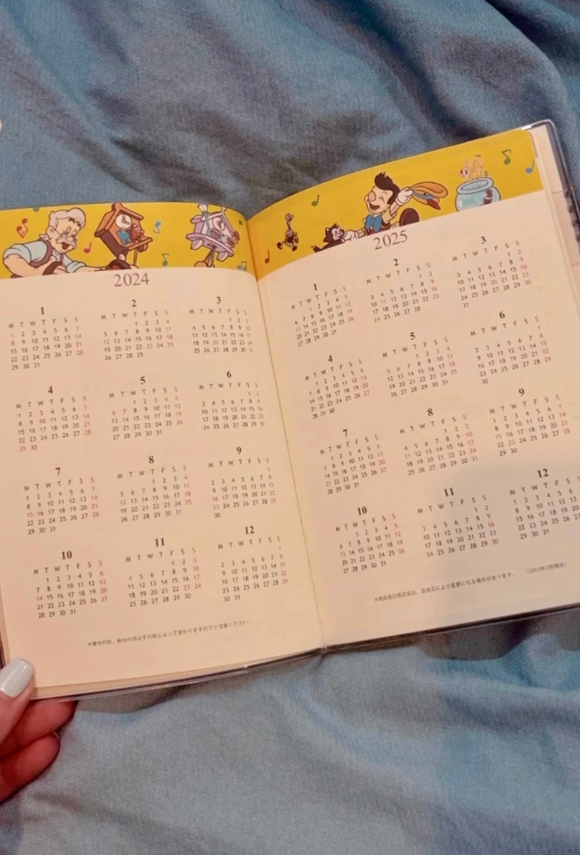 Disney100 Anniversery Planner 2024