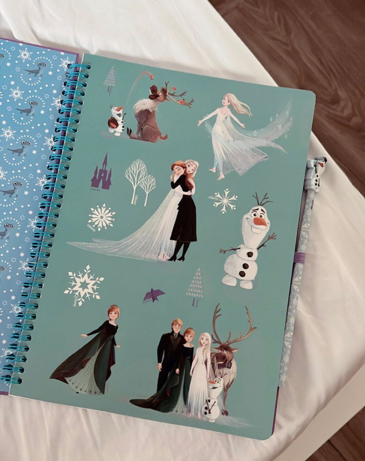 Frozen A4 Notebook